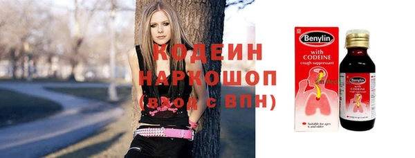 прущие грибы Алексеевка