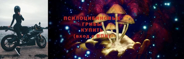 прущие грибы Алексеевка