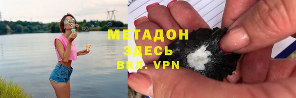 прущие грибы Алексеевка