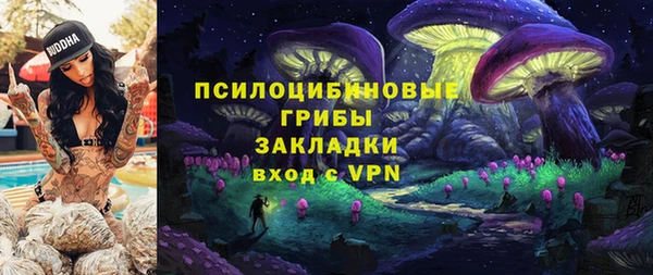 не бодяженный Алексин