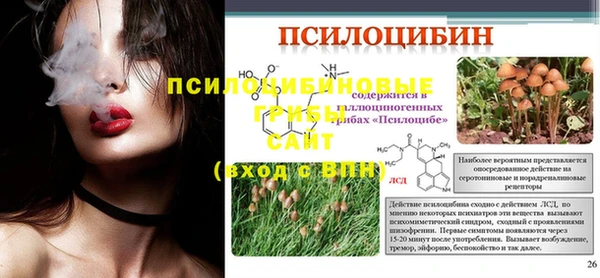 а пвп мука Алзамай