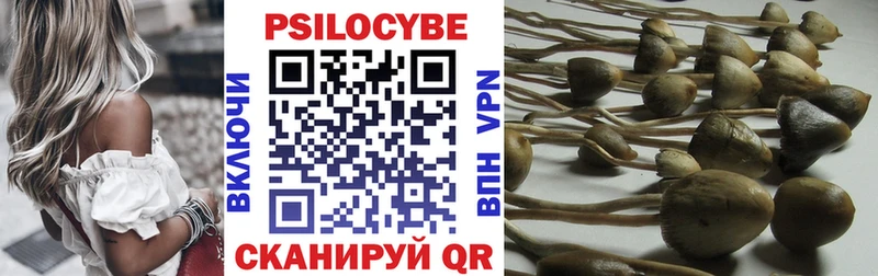 kraken ССЫЛКА  купить   Тотьма  Псилоцибиновые грибы MAGIC MUSHROOMS 